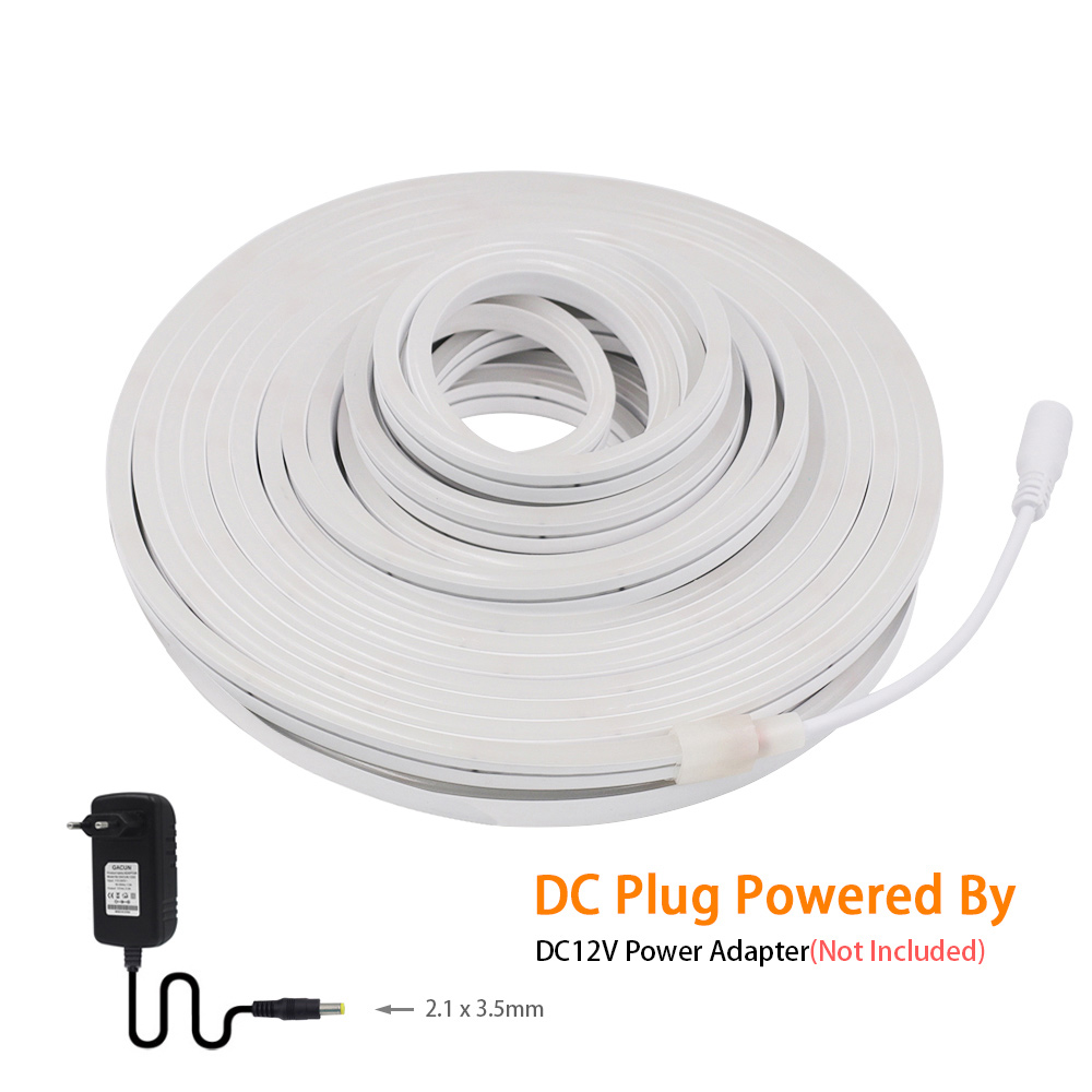 DC 12V LED Neonst reifen Licht – Decor Lighting Hours Bewertung und Preis