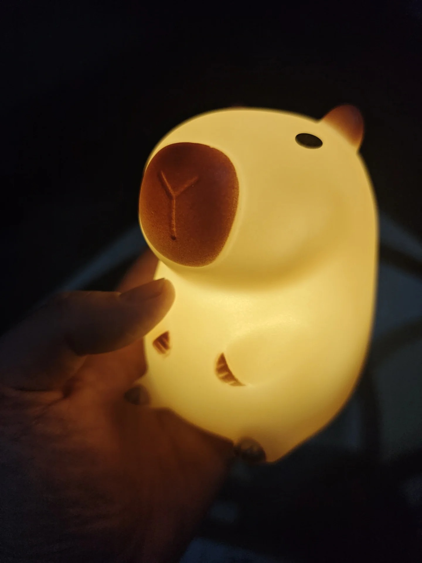 Niedliches Capybara-Nachtlicht – Decor Lighting Sales Bewertung und Preis